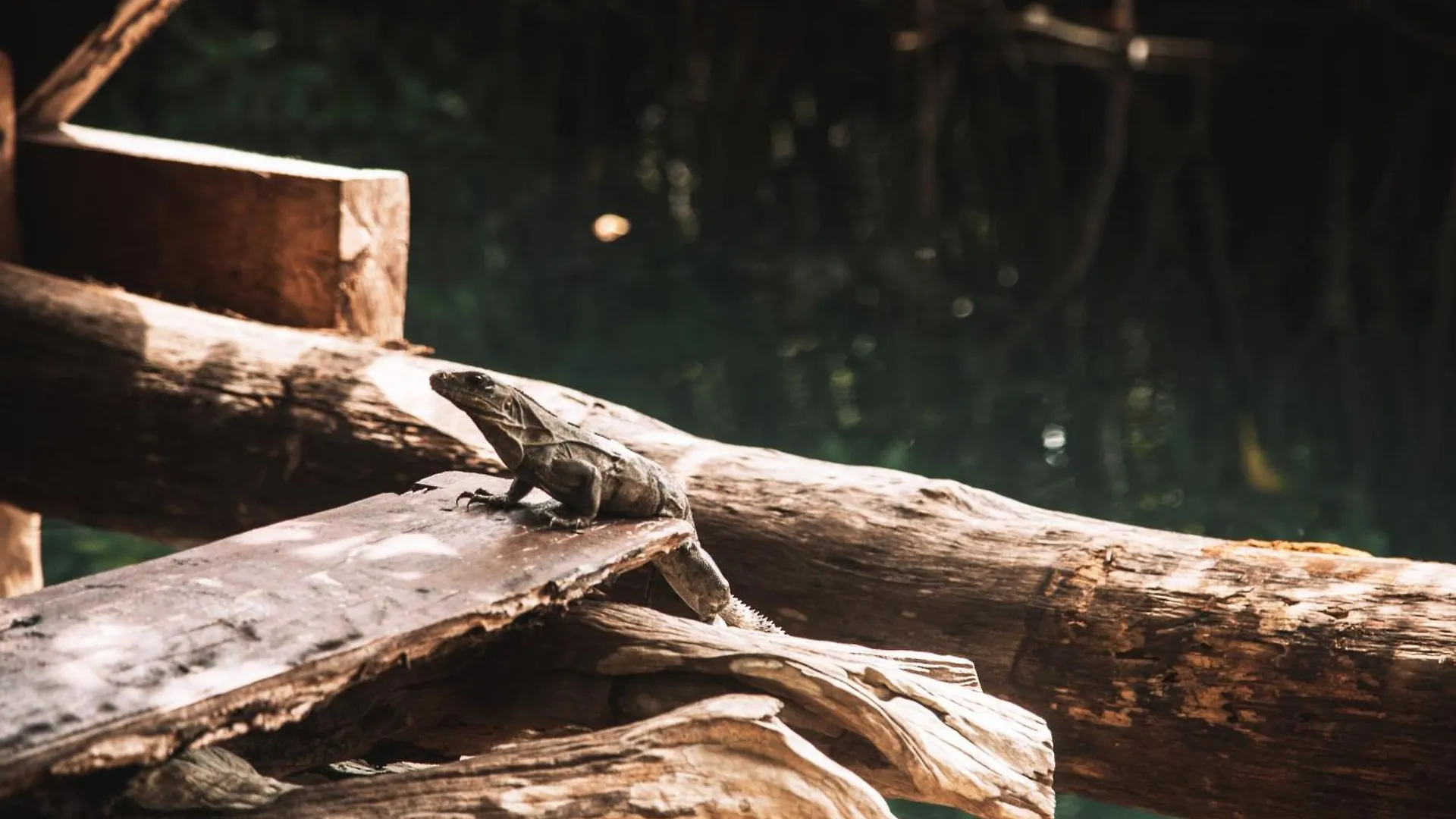 Luxury tent Uman Glamping & Cenote Tulum Hotel