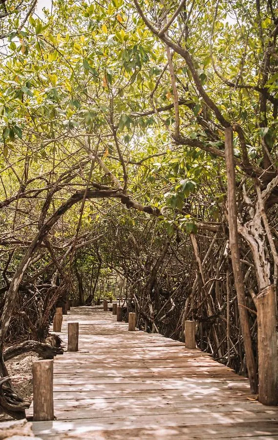 Luxury tent Uman Glamping & Cenote Tulum Hotel