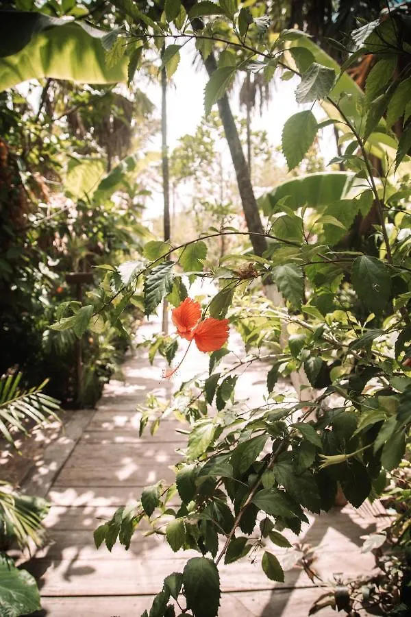 Luxury tent Uman Glamping & Cenote Tulum Hotel